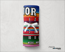 Load image into Gallery viewer, Serape Milestone Baby Blanket | Personalized Baby Blanket | Serape | Mexican | Baby Age Blanket | Sarape | Soft Silk Touch Fabric | Throw Blanket